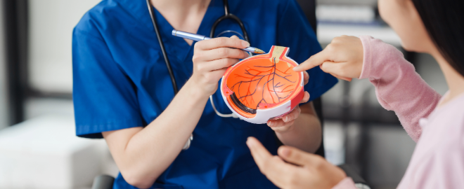 eye doctor and patient looking at 3D model of an eye