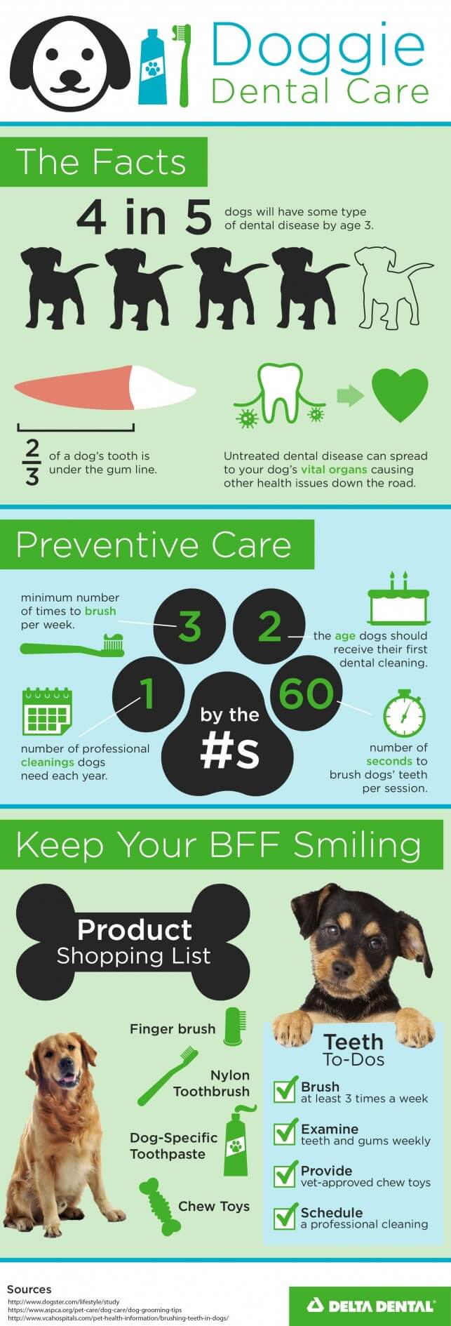 Doggie Dental Health [INFOGRAPHIC]